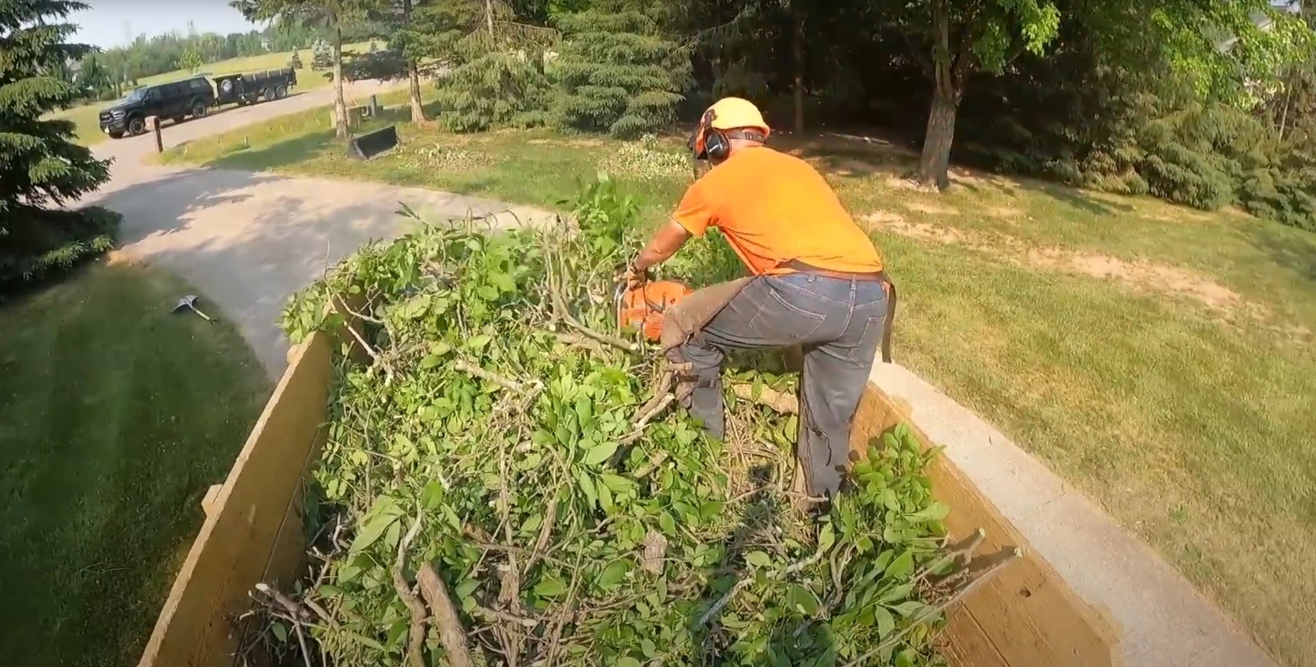 Professional stump grinding and removal services Tree stump grinding process and removal equipment