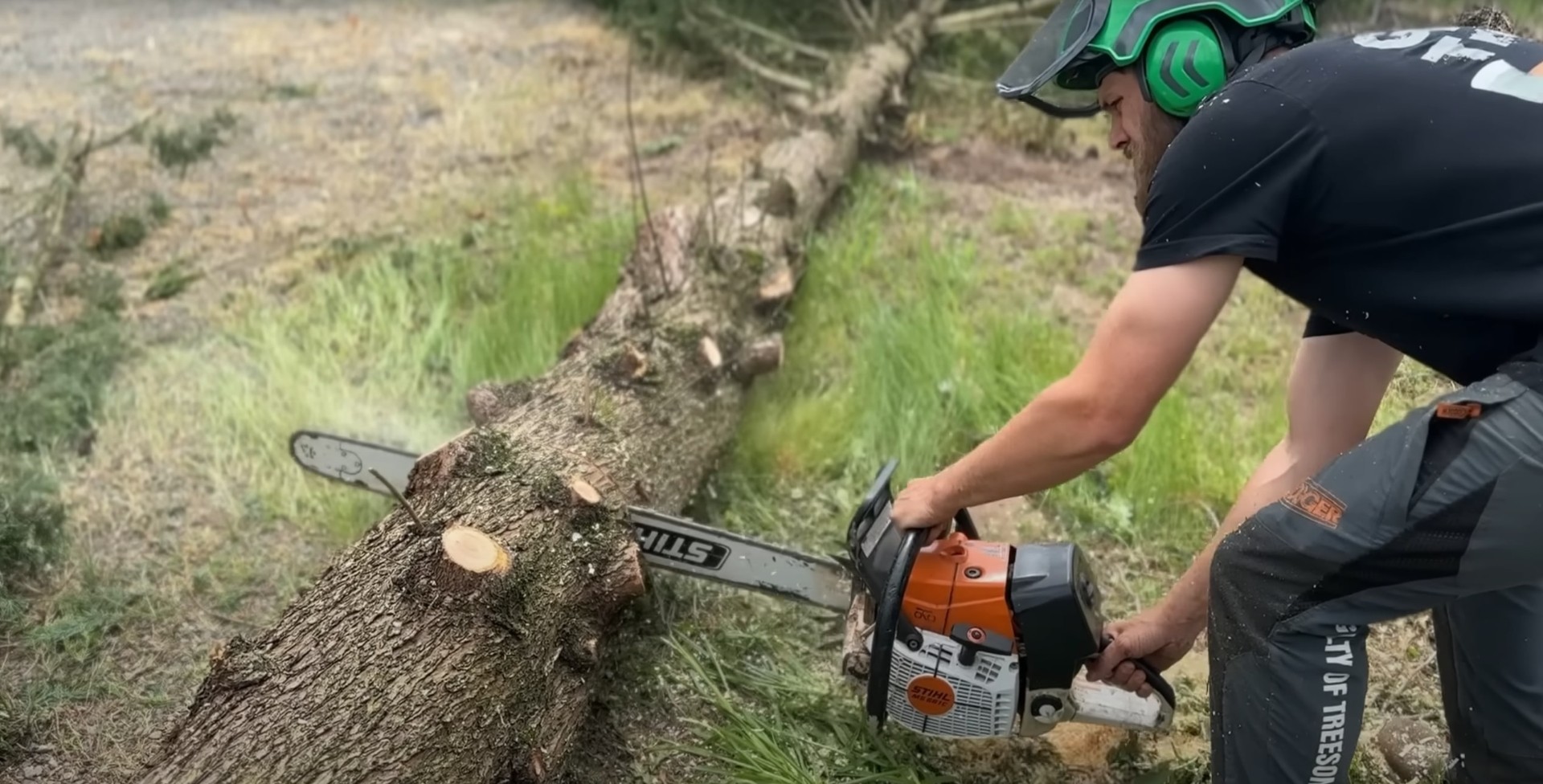 Expert chainsaw operation for tree services Arborist using chainsaw for precision tree cutting