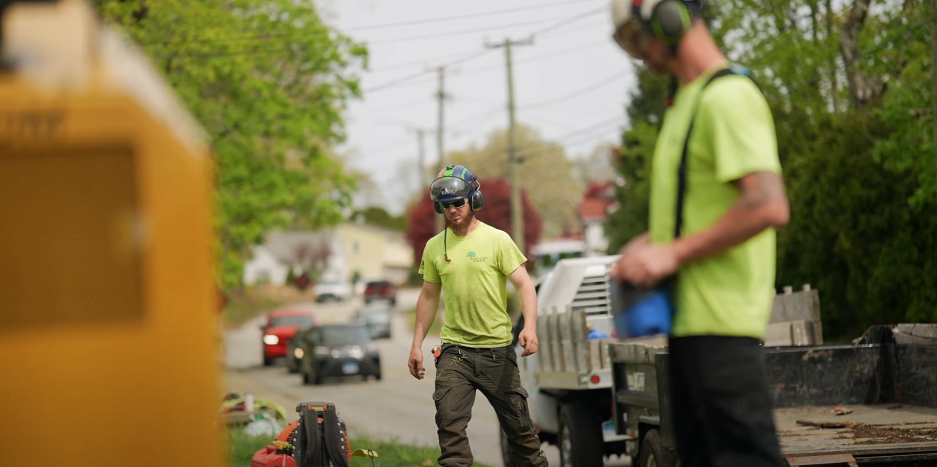 Cerritos Tree Service - Professional crew at work Professional tree service crew working safely in Cerritos