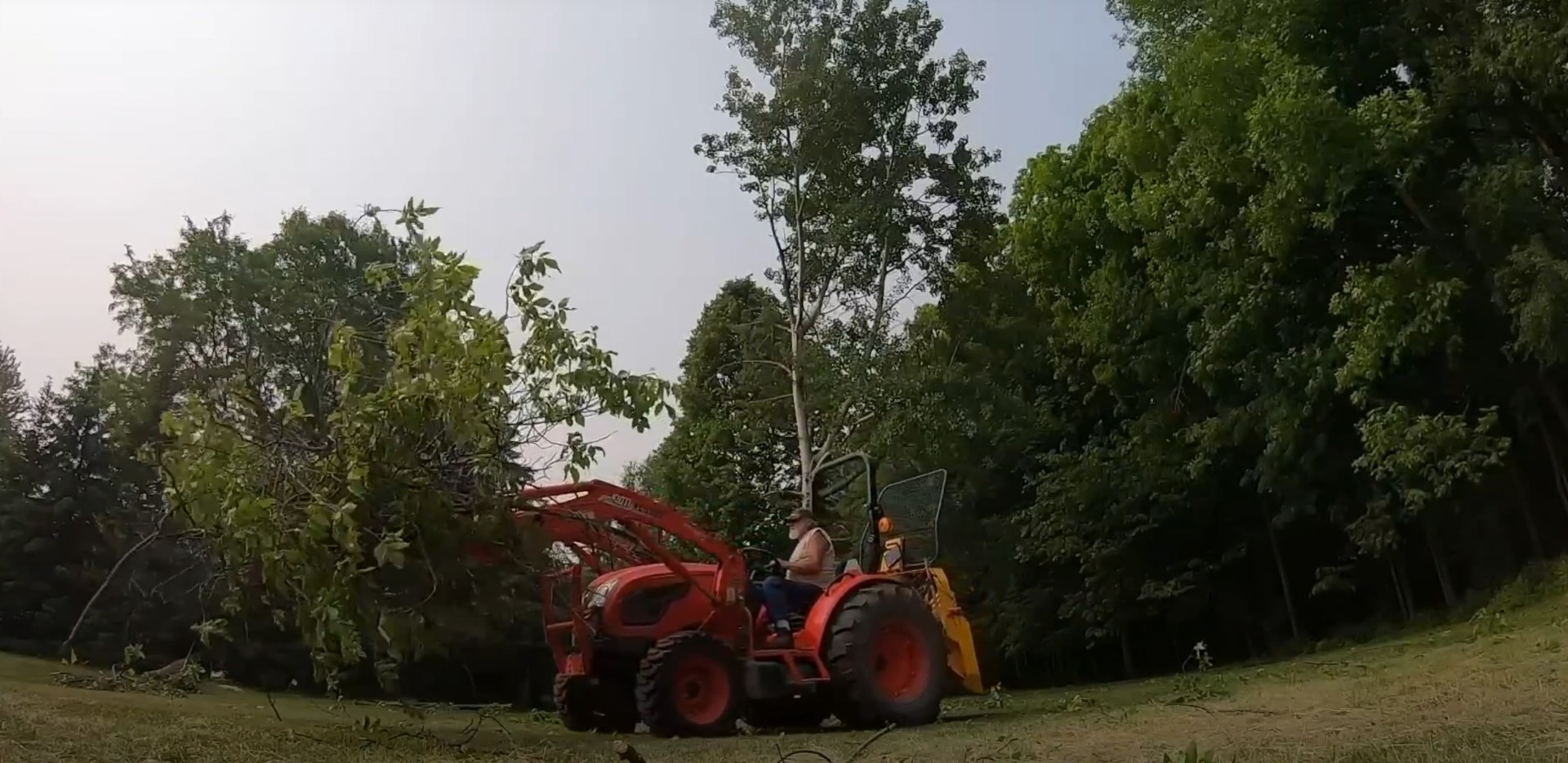 Professional tree removal equipment for safe tree cutting Tree removal equipment and machinery in action